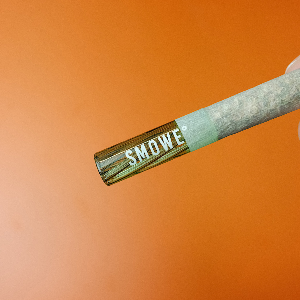 Gedrehter Joint mit transparentem SMOWE Glastip Glasfilter und grüner J-Band Papier-Banderole in der Nahaufnahme.