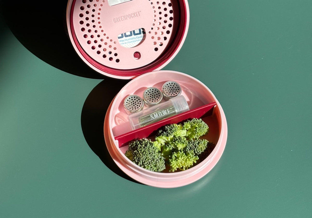 Geöffneter SMOWE GREENPOCKET Cannabis Humidor in Berry mit Glas-Tips, Trennwand und Befeuchtungsfach.