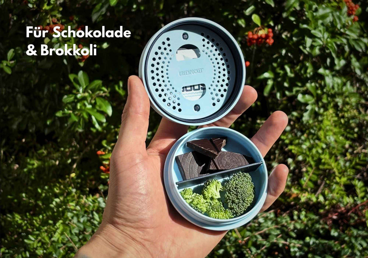 Geöffneter SMOWE GREENPOCKET Cannabis Humidor in der Farbe Lagoon in der Hand mit Fächereinteilung und Befeuchtungsfach.